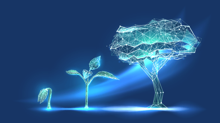 Origins of IP